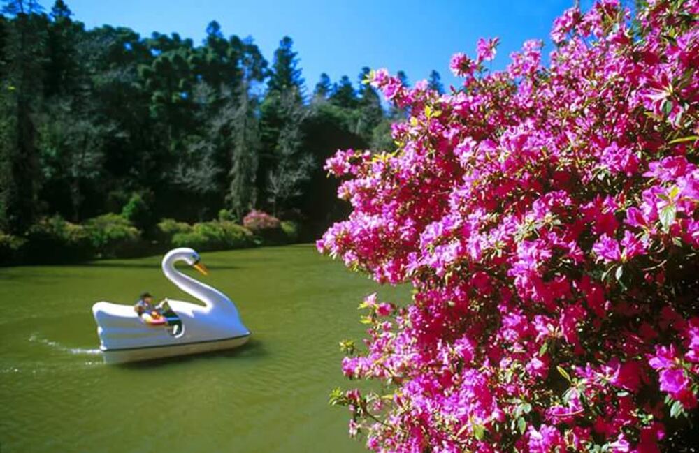 Lago e paisagem serrana do Tour das Hortênsias privativo