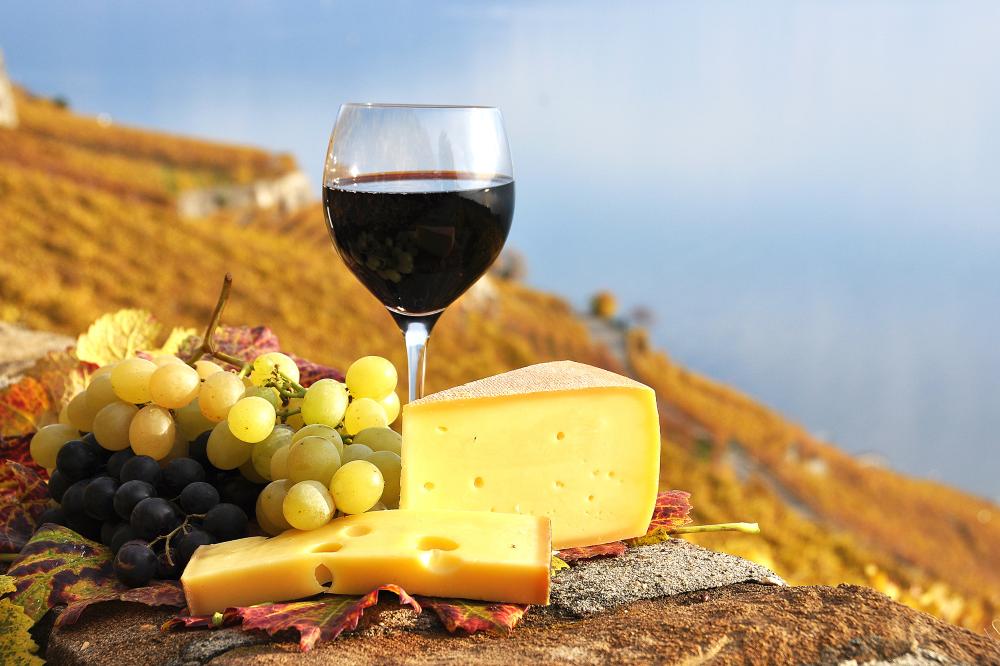 Taça de vinho, uvas e queijos coloniais da Serra Gaúcha